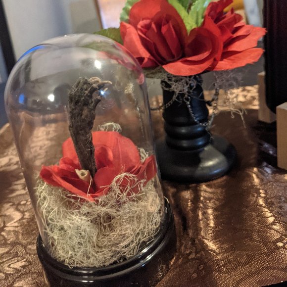 Hello! Welcome to my weird closet! - Picture 6 of 16